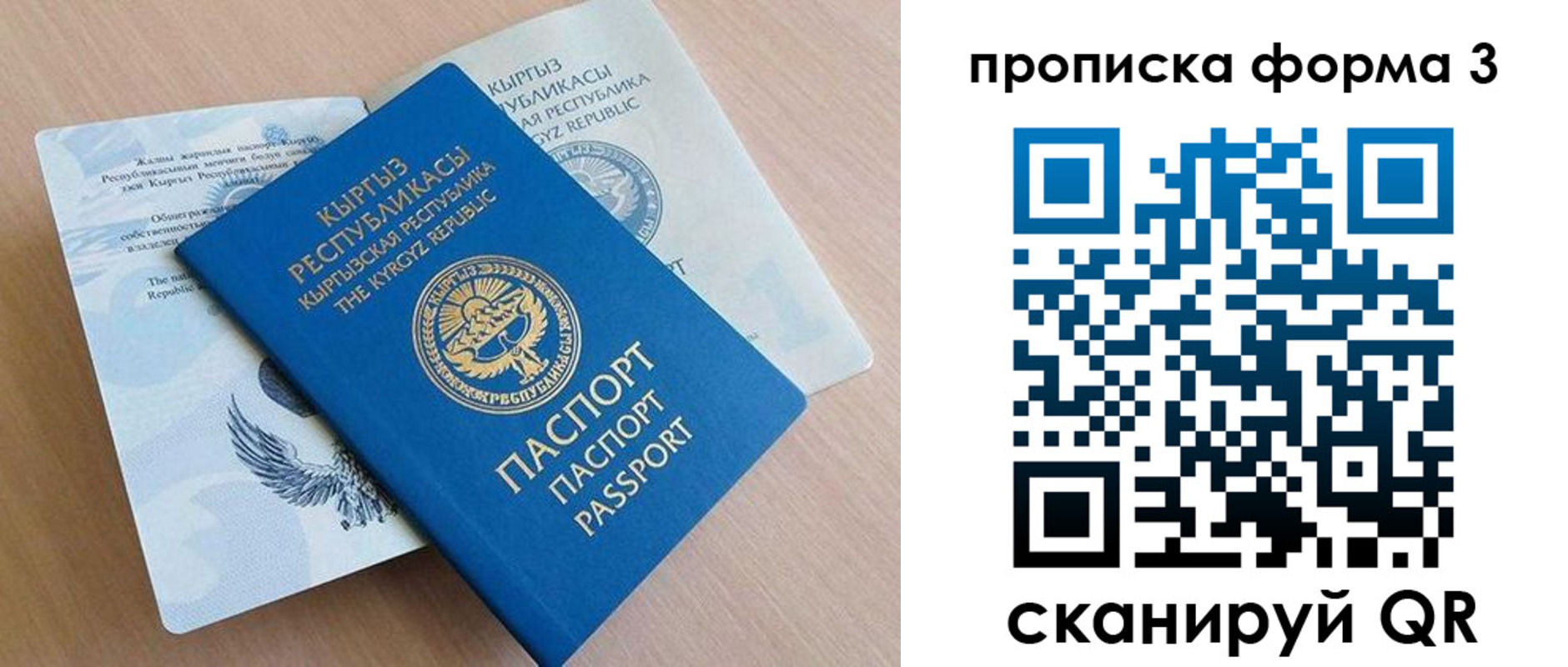 где прописаться в Чкаловске