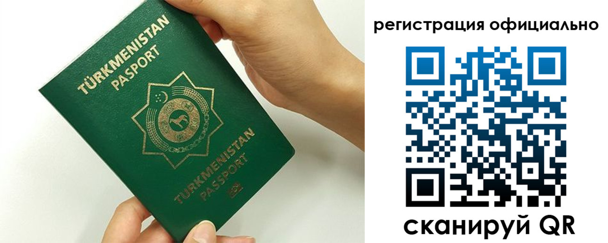 прописка поиск в Чкаловске